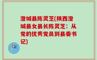澄城县陈灵芝(陕西澄城县女县长陈灵芝：从党的优秀党员到县委书记)