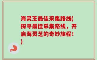 海灵芝最佳采集路线(探寻最佳采集路线，开启海灵芝的奇妙旅程！)