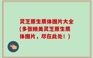 灵芝原生质体图片大全(多张精美灵芝原生质体图片，尽在此处！)