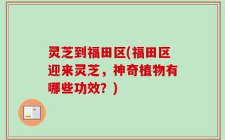 灵芝到福田区(福田区迎来灵芝，神奇植物有哪些功效？)