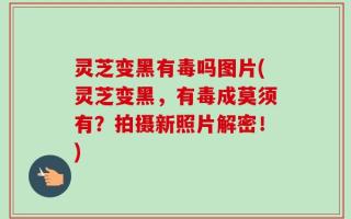 灵芝变黑有毒吗图片(灵芝变黑，有毒成莫须有？拍摄新照片解密！)