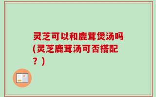 灵芝可以和鹿茸煲汤吗(灵芝鹿茸汤可否搭配？)