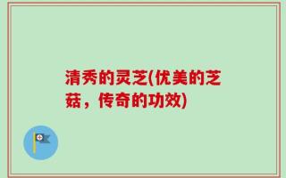 清秀的灵芝(优美的芝菇，传奇的功效)