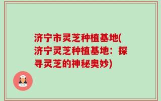 济宁市灵芝种植基地(济宁灵芝种植基地：探寻灵芝的神秘奥妙)
