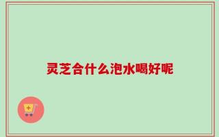 灵芝合什么泡水喝好呢