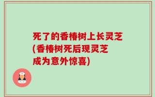 死了的香椿树上长灵芝(香椿树死后现灵芝 成为意外惊喜)