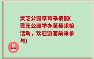 灵芝公园草莓采摘园(灵芝公园举办草莓采摘活动，欢迎游客前来参与)