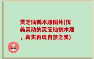 灵芝仙鹤木雕图片(优美灵动的灵芝仙鹤木雕，真实再现自然之美)