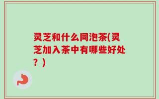 灵芝和什么同泡茶(灵芝加入茶中有哪些好处？)