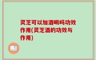 灵芝可以加酒喝吗功效作用(灵芝酒的功效与作用)