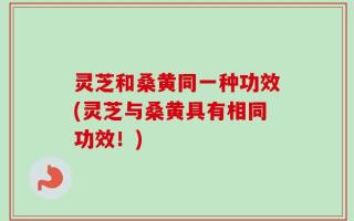 灵芝和桑黄同一种功效(灵芝与桑黄具有相同功效！)