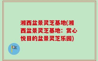 湘西盆景灵芝基地(湘西盆景灵芝基地：赏心悦目的盆景灵芝乐园)