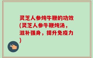 灵芝人参炖牛鞭的功效(灵芝人参牛鞭炖汤，滋补强身，提升免疫力)