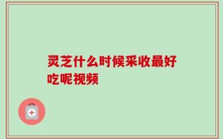 灵芝什么时候采收最好吃呢视频