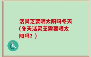 活灵芝要晒太阳吗冬天(冬天活灵芝需要晒太阳吗？)