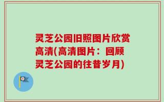 灵芝公园旧照图片欣赏高清(高清图片：回顾灵芝公园的往昔岁月)