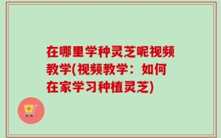 在哪里学种灵芝呢视频教学(视频教学：如何在家学习种植灵芝)