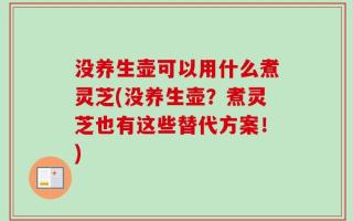 没养生壶可以用什么煮灵芝(没养生壶？煮灵芝也有这些替代方案！)