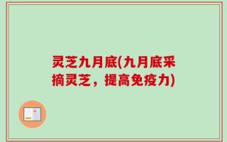 灵芝九月底(九月底采摘灵芝，提高免疫力)
