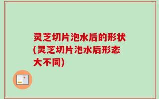 灵芝切片泡水后的形状(灵芝切片泡水后形态大不同)