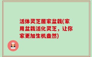 活体灵芝居家盆栽(家用盆栽活化灵芝，让你家更加生机盎然)