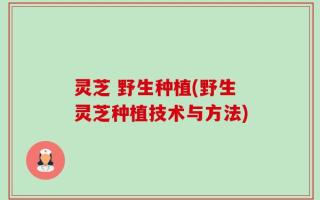 灵芝 野生种植(野生灵芝种植技术与方法)