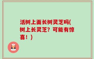 活树上面长树灵芝吗(树上长灵芝？可能有惊喜！)