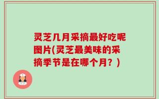 灵芝几月采摘最好吃呢图片(灵芝最美味的采摘季节是在哪个月？)