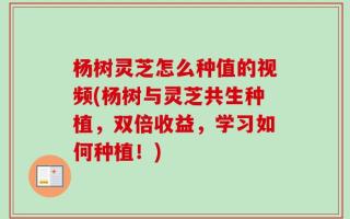 杨树灵芝怎么种值的视频(杨树与灵芝共生种植，双倍收益，学习如何种植！)