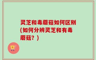 灵芝和毒蘑菇如何区别(如何分辨灵芝和有毒蘑菇？)