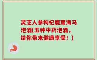 灵芝人参枸杞鹿茸海马泡酒(五种中药泡酒，给你带来健康享受！)