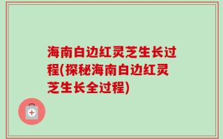 海南白边红灵芝生长过程(探秘海南白边红灵芝生长全过程)