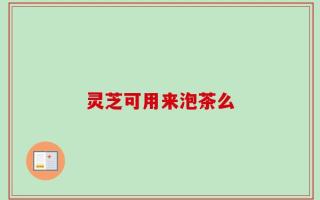 灵芝可用来泡茶么