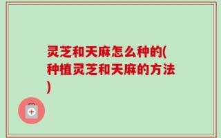 灵芝和天麻怎么种的(种植灵芝和天麻的方法)