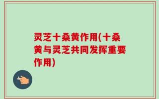 灵芝十桑黄作用(十桑黄与灵芝共同发挥重要作用)