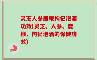 灵芝人参鹿鞭枸杞泡酒功效(灵芝、人参、鹿鞭、枸杞泡酒的保健功效)