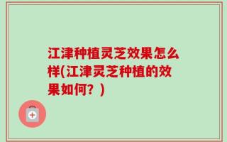 江津种植灵芝效果怎么样(江津灵芝种植的效果如何？)