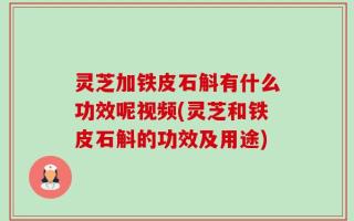 灵芝加铁皮石斛有什么功效呢视频(灵芝和铁皮石斛的功效及用途)