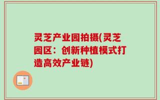 灵芝产业园拍摄(灵芝园区：创新种植模式打造高效产业链)