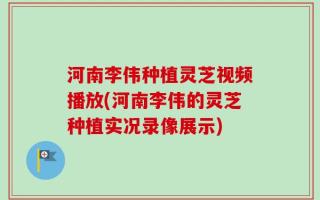 河南李伟种植灵芝视频播放(河南李伟的灵芝种植实况录像展示)