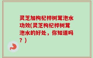 灵芝加枸杞桦树茸泡水功效(灵芝枸杞桦树茸泡水的好处，你知道吗？)