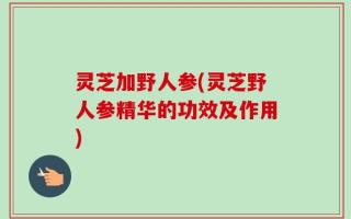 灵芝加野人参(灵芝野人参精华的功效及作用)