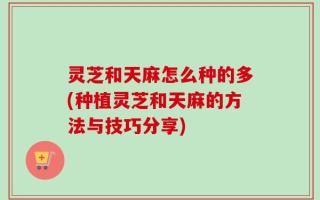 灵芝和天麻怎么种的多(种植灵芝和天麻的方法与技巧分享)