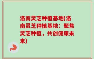 洛南灵芝种植基地(洛南灵芝种植基地：聚焦灵芝种植，共创健康未来)