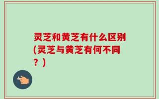 灵芝和黄芝有什么区别(灵芝与黄芝有何不同？)