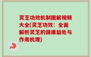 灵芝功效机制图解视频大全(灵芝功效：全面解析灵芝的健康益处与作用机理)