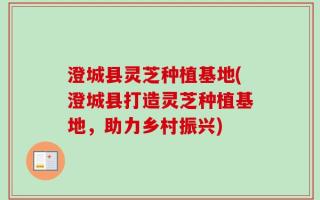 澄城县灵芝种植基地(澄城县打造灵芝种植基地，助力乡村振兴)