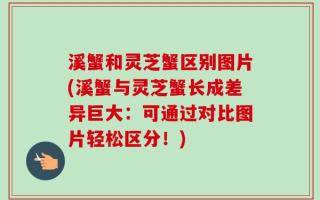 溪蟹和灵芝蟹区别图片(溪蟹与灵芝蟹长成差异巨大：可通过对比图片轻松区分！)