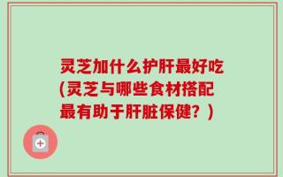 灵芝加什么护肝最好吃(灵芝与哪些食材搭配最有助于肝脏保健？)
