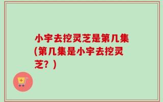 小宇去挖灵芝是第几集(第几集是小宇去挖灵芝？)